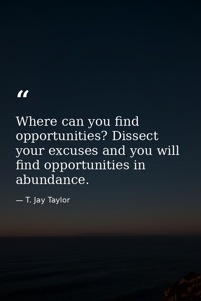 Where can you find opportunities? Dissect your excuses and you will find opportunities in abundance. — T. Jay Taylor