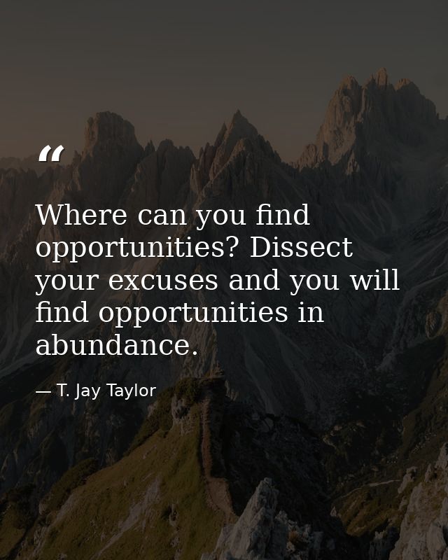 Where can you find opportunities? Dissect your excuses and you will find opportunities in abundance. — T. Jay Taylor
