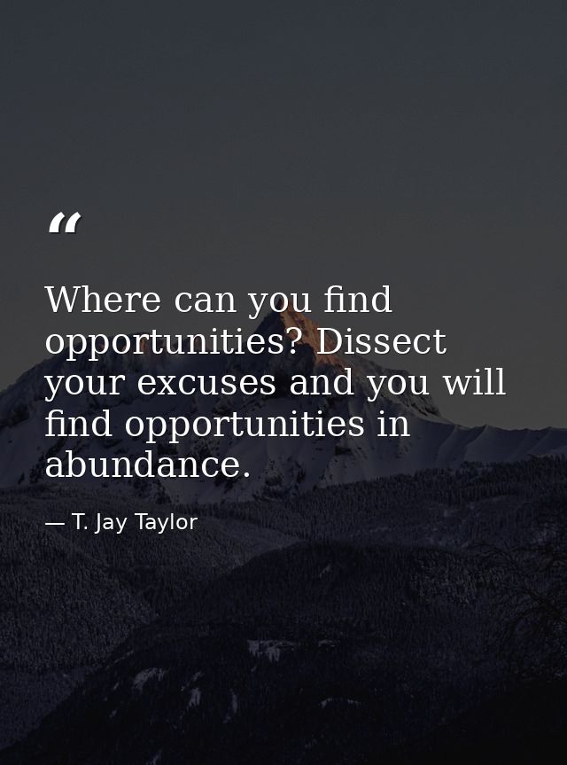 Where can you find opportunities? Dissect your excuses and you will find opportunities in abundance. — T. Jay Taylor