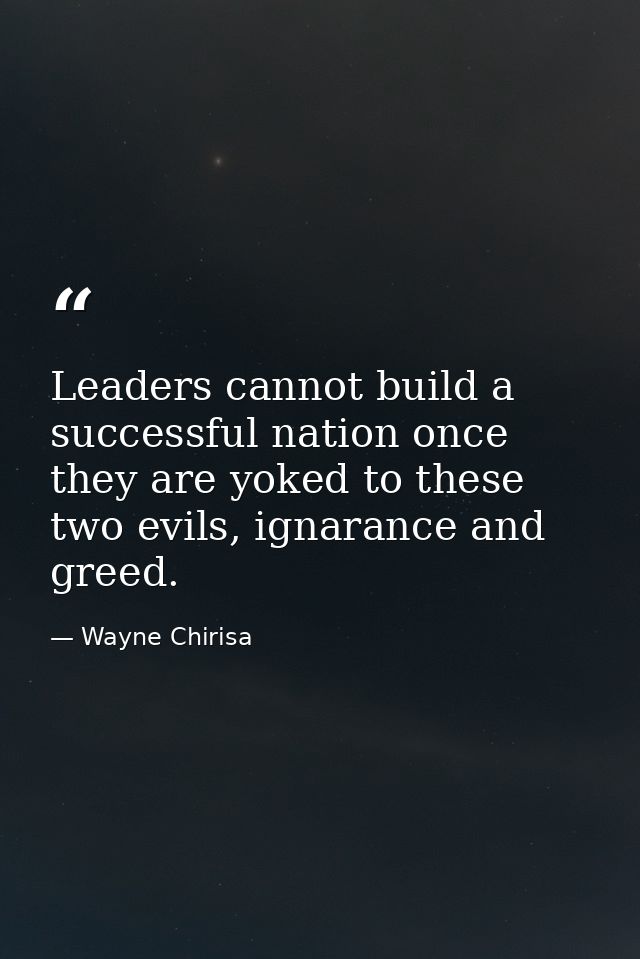 Leaders cannot build a successful nation once they are yoked to these two evils, ignarance and greed. — Wayne Chirisa