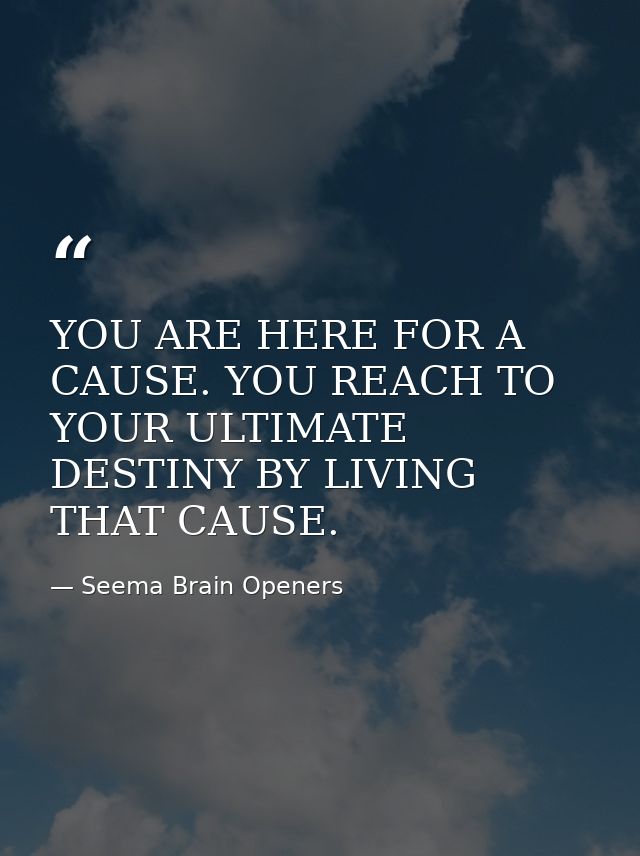YOU ARE HERE FOR A CAUSE. YOU REACH TO YOUR ULTIMATE DESTINY BY LIVING THAT CAUSE. — Seema Brain Openers