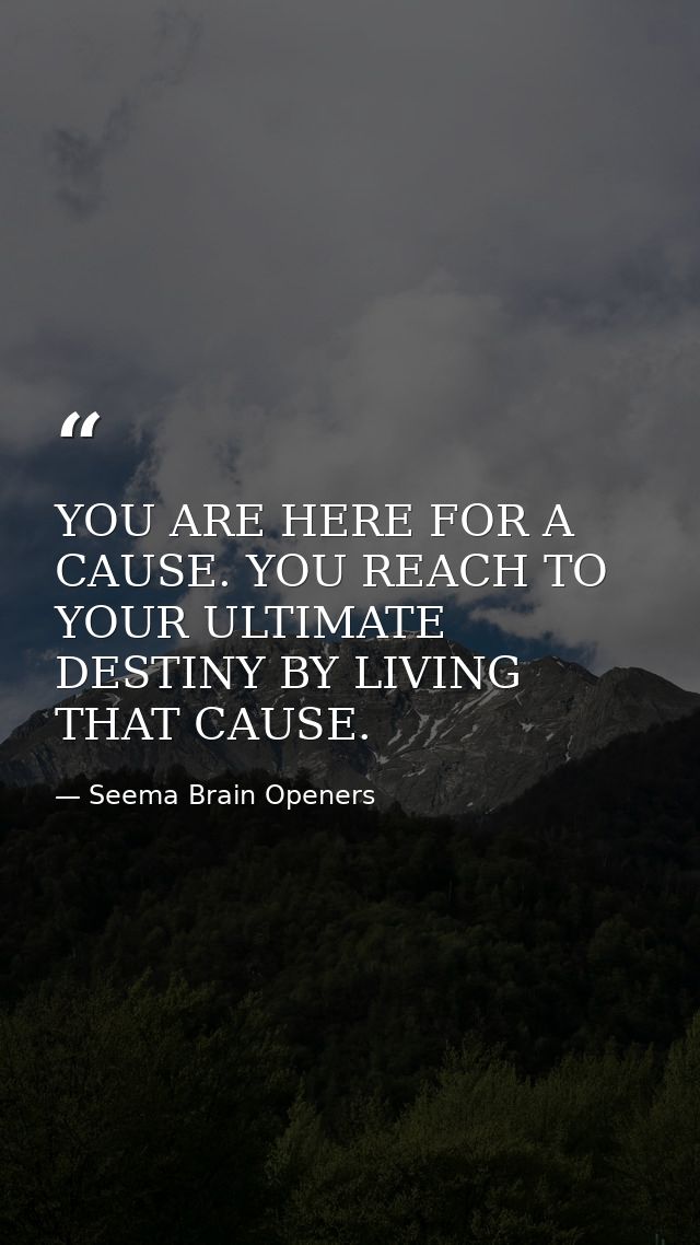 YOU ARE HERE FOR A CAUSE. YOU REACH TO YOUR ULTIMATE DESTINY BY LIVING THAT CAUSE. — Seema Brain Openers