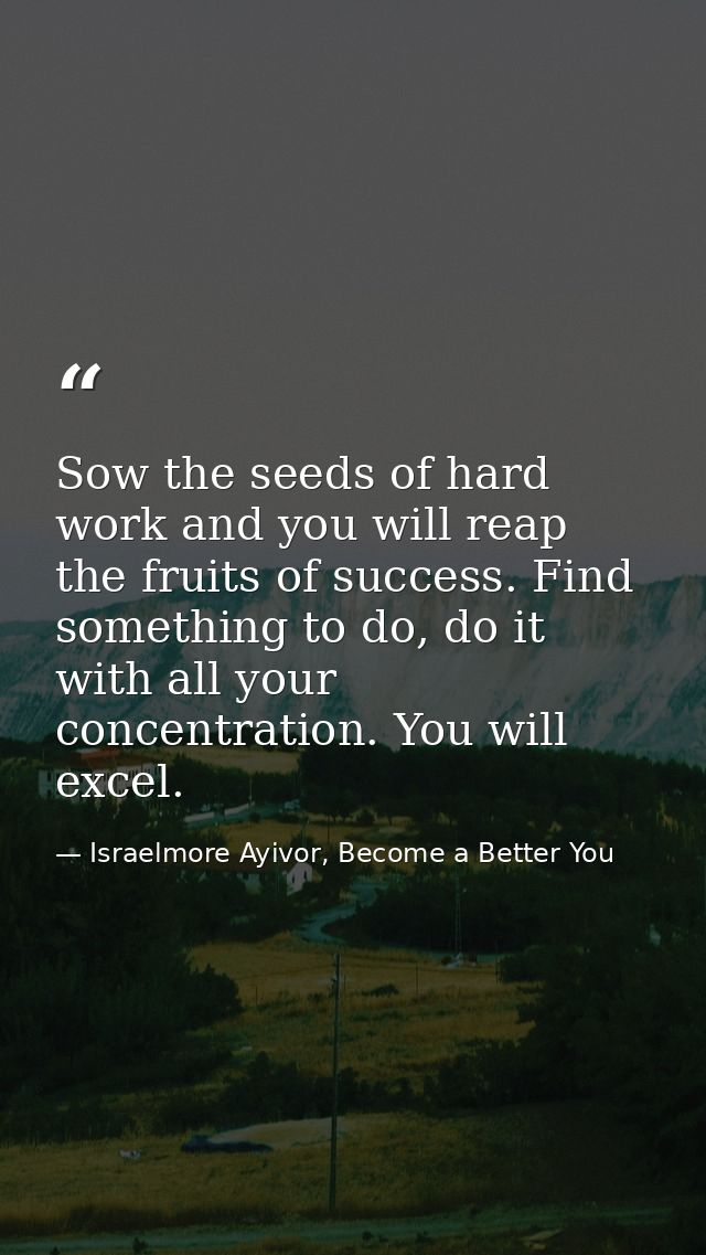 Sow the seeds of hard work and you will reap the fruits of success. Find something to do, do it with all your concentrat — Israelmore Ayivor, Become a Better You