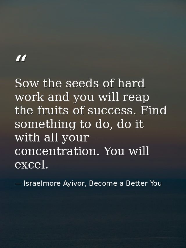 Sow the seeds of hard work and you will reap the fruits of success. Find something to do, do it with all your concentrat — Israelmore Ayivor, Become a Better You