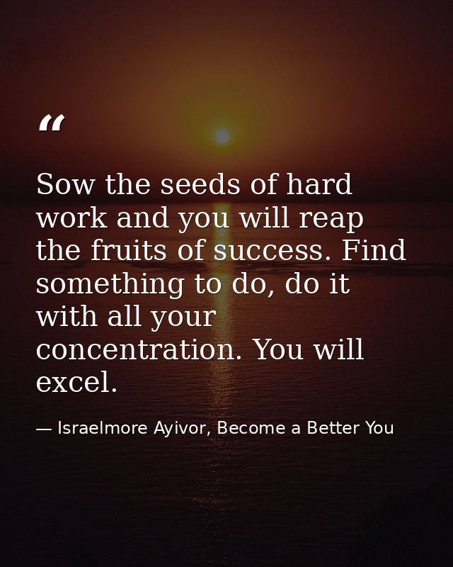 Sow the seeds of hard work and you will reap the fruits of success. Find something to do, do it with all your concentrat — Israelmore Ayivor, Become a Better You