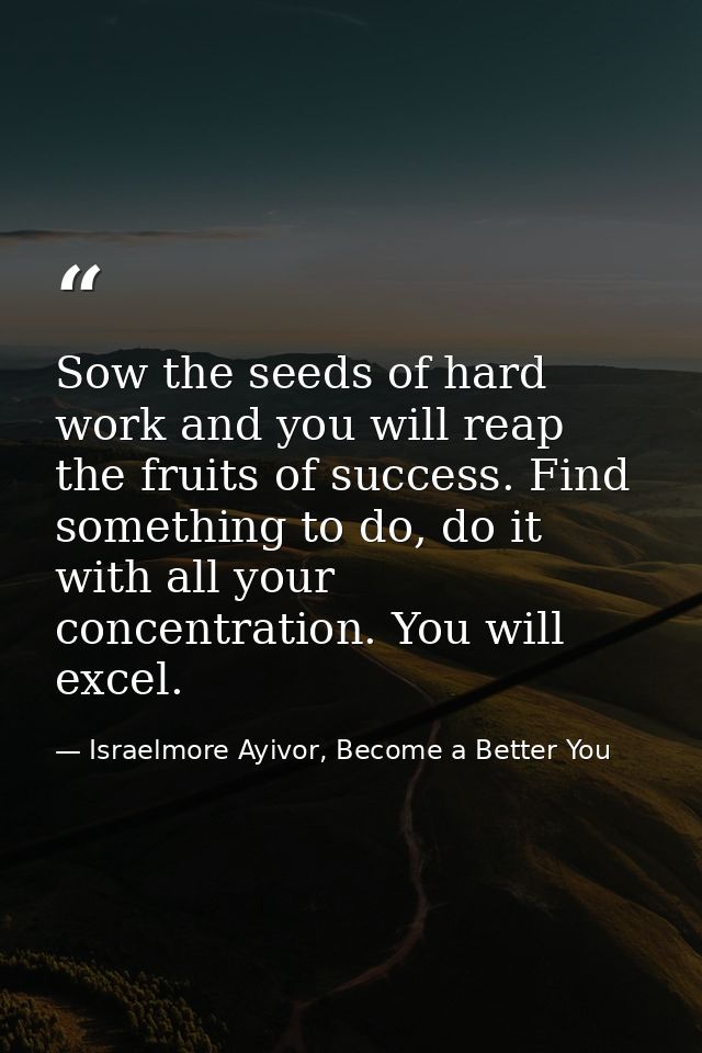 Sow the seeds of hard work and you will reap the fruits of success. Find something to do, do it with all your concentrat — Israelmore Ayivor, Become a Better You