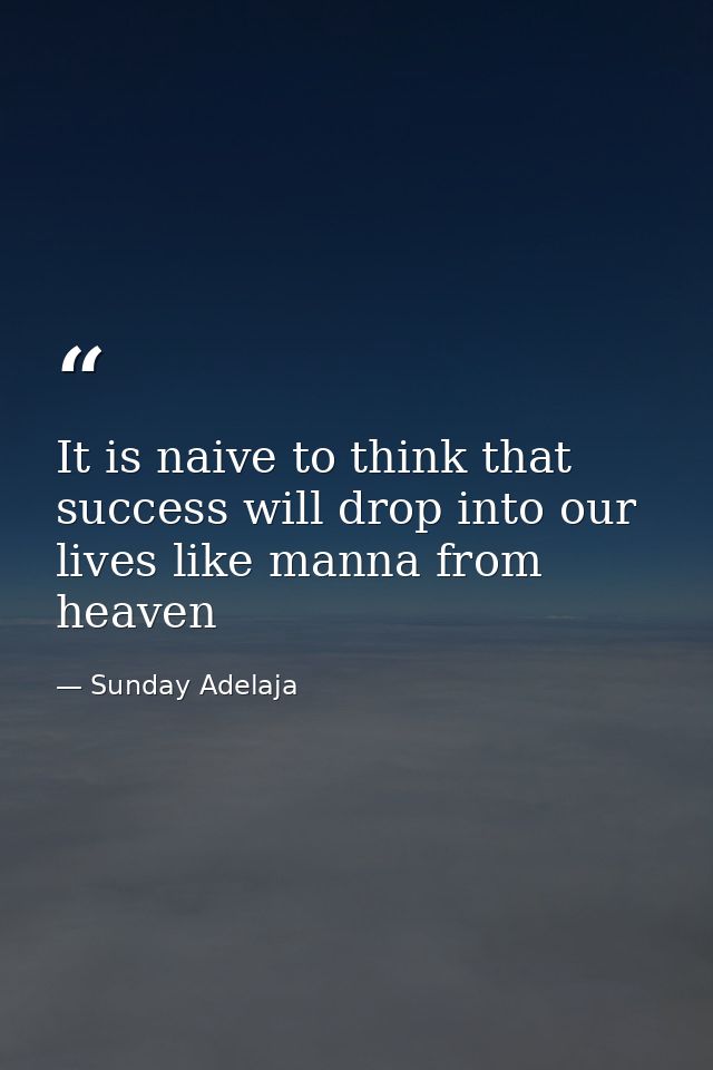 It is naive to think that success will drop into our lives like manna from heaven — Sunday Adelaja