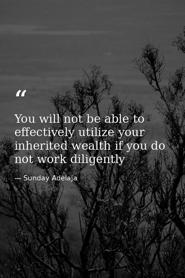 You will not be able to effectively utilize your inherited wealth if you do not work diligently — Sunday Adelaja