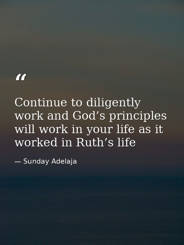Continue to diligently work and God’s principles will work in your life as it worked in Ruth’s life — Sunday Adelaja