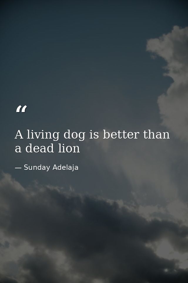 A living dog is better than a dead lion — Sunday Adelaja