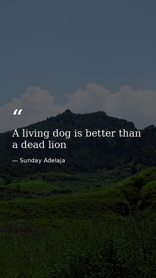 A living dog is better than a dead lion — Sunday Adelaja