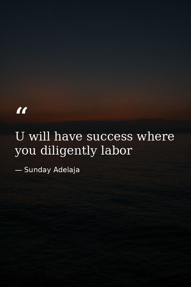 U will have success where you diligently labor — Sunday Adelaja