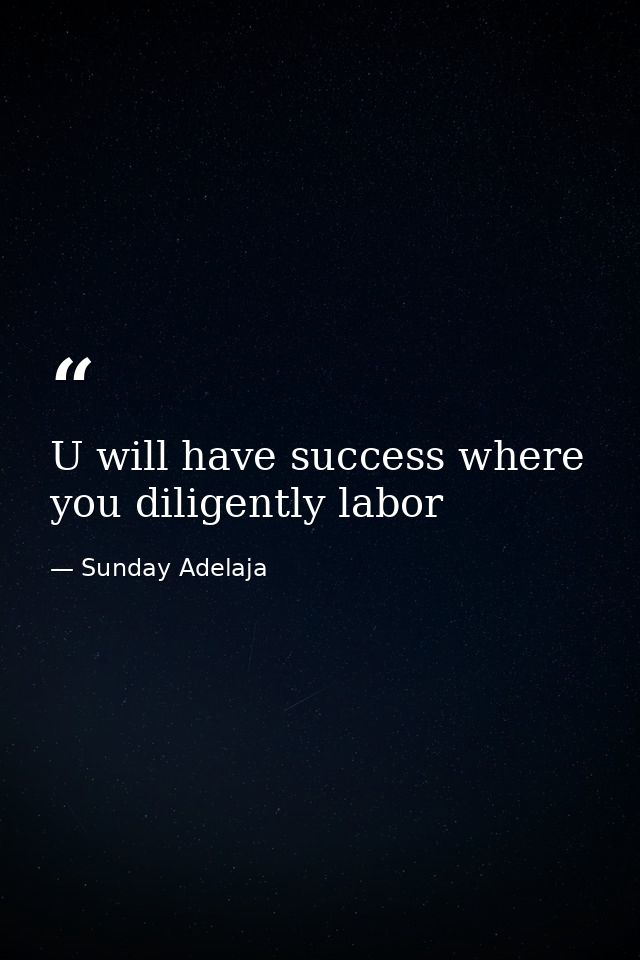 U will have success where you diligently labor — Sunday Adelaja