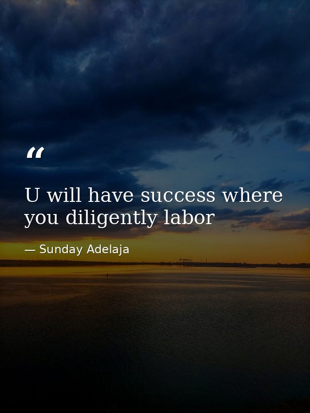 U will have success where you diligently labor — Sunday Adelaja