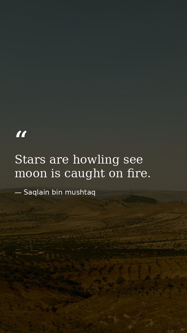 Stars are howling see moon is caught on fire. — Saqlain bin mushtaq