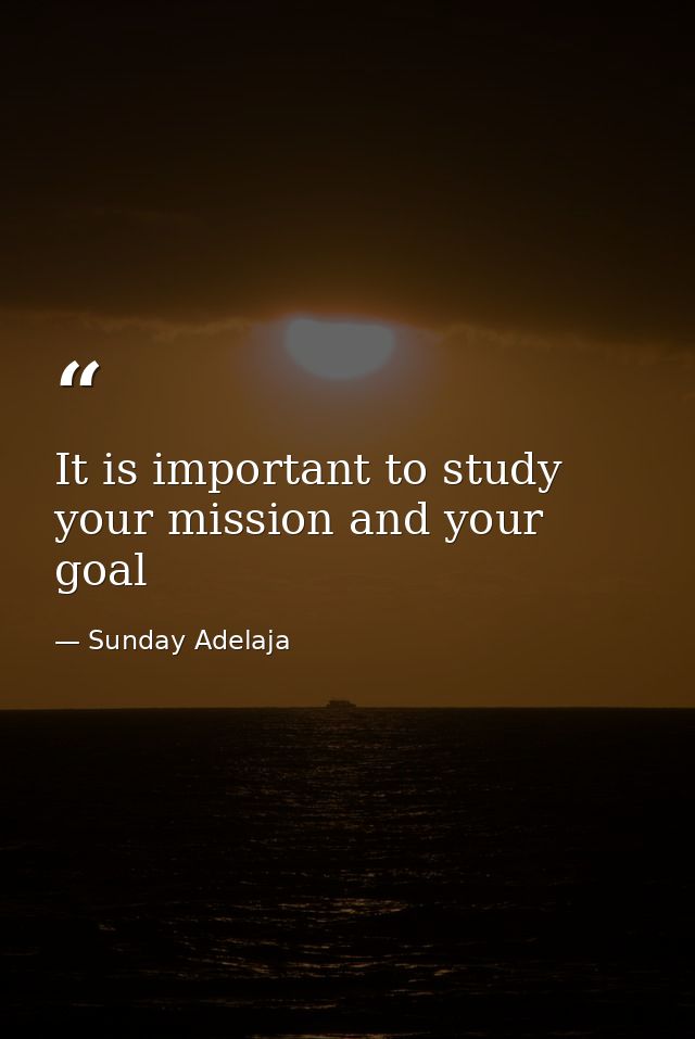 It is important to study your mission and your goal — Sunday Adelaja