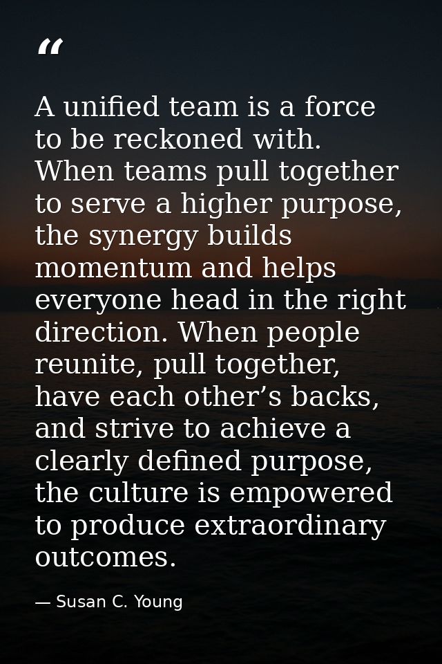 A unified team is a force to be reckoned with. When teams pull together to serve a higher purpose, the synergy builds mo — Susan C. Young