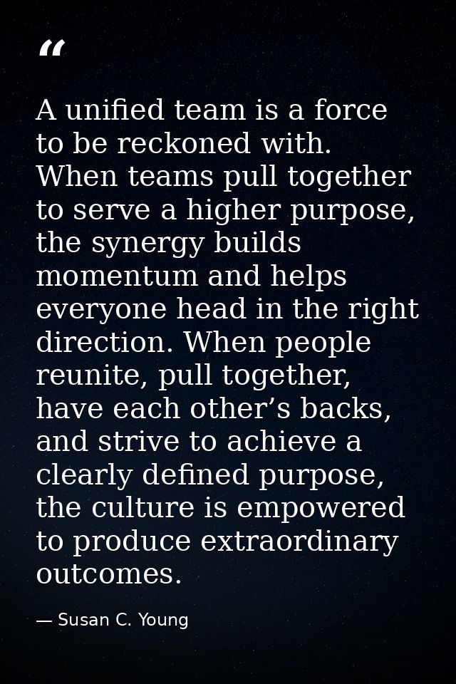 A unified team is a force to be reckoned with. When teams pull together to serve a higher purpose, the synergy builds mo — Susan C. Young