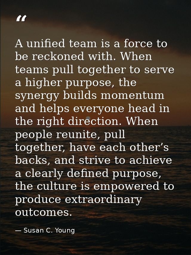 A unified team is a force to be reckoned with. When teams pull together to serve a higher purpose, the synergy builds mo — Susan C. Young