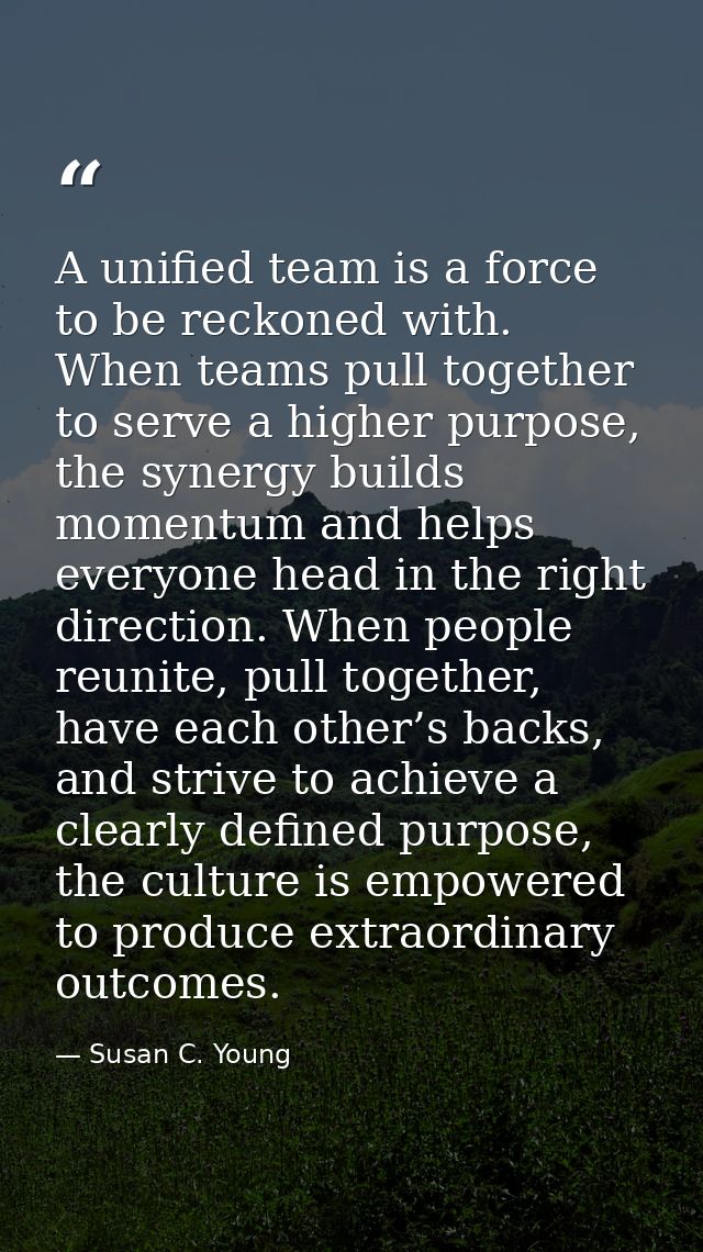 A unified team is a force to be reckoned with. When teams pull together to serve a higher purpose, the synergy builds mo — Susan C. Young