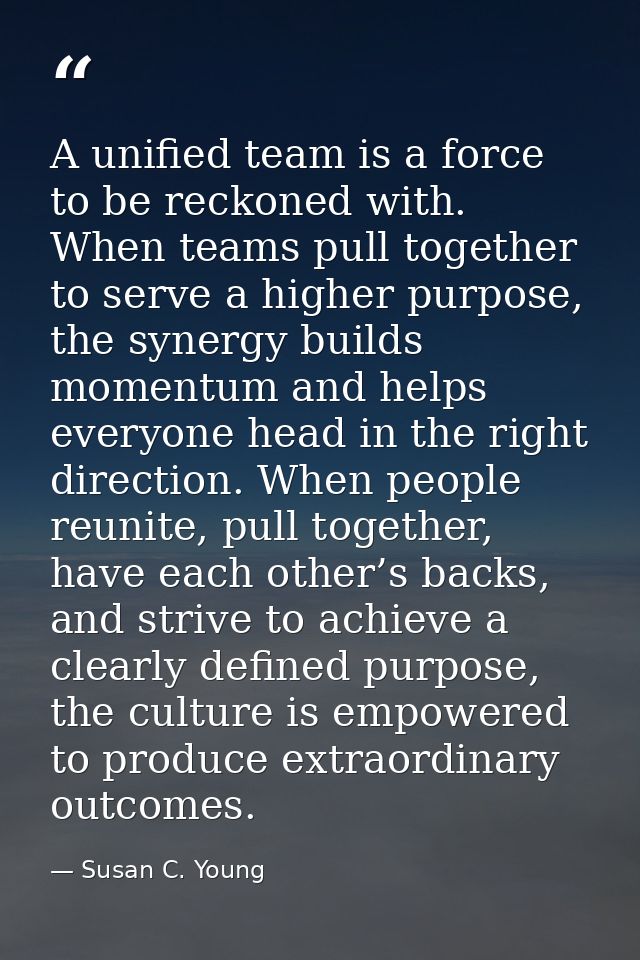 A unified team is a force to be reckoned with. When teams pull together to serve a higher purpose, the synergy builds mo — Susan C. Young