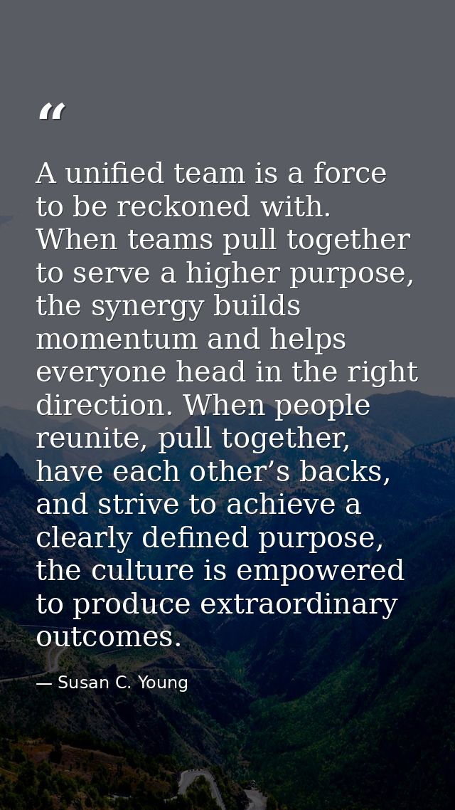 A unified team is a force to be reckoned with. When teams pull together to serve a higher purpose, the synergy builds mo — Susan C. Young