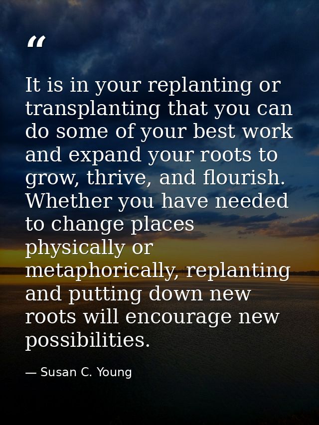 It is in your replanting or transplanting that you can do some of your best work and expand your roots to grow, thrive,  — Susan C. Young