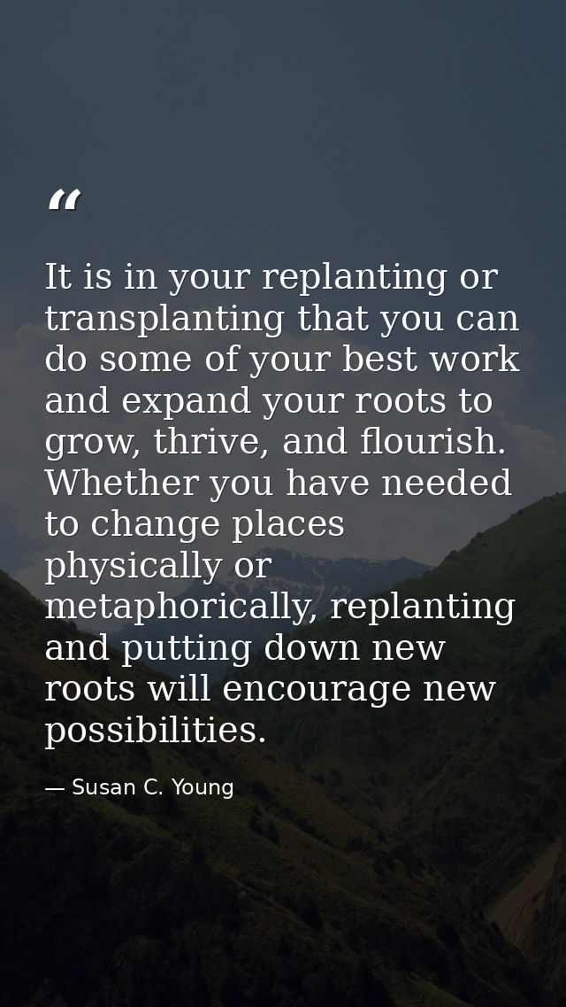 It is in your replanting or transplanting that you can do some of your best work and expand your roots to grow, thrive,  — Susan C. Young