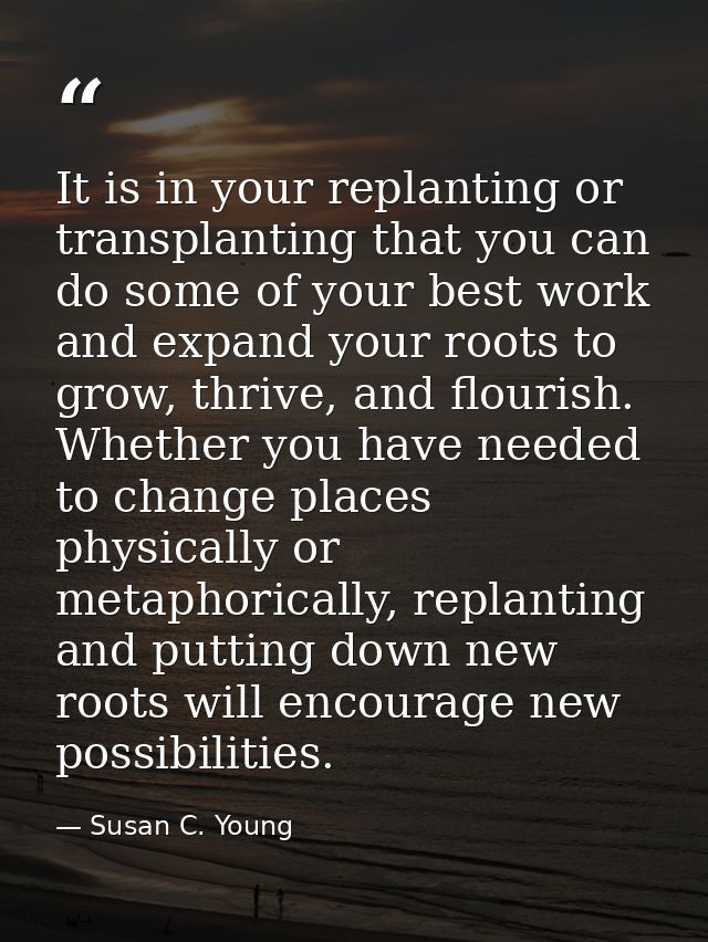 It is in your replanting or transplanting that you can do some of your best work and expand your roots to grow, thrive,  — Susan C. Young