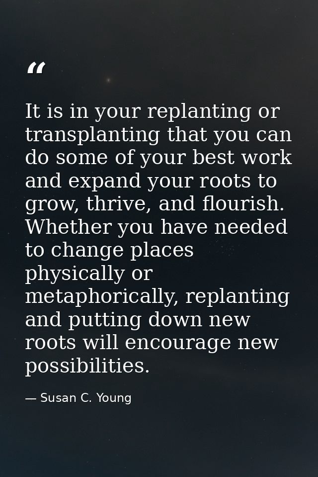 It is in your replanting or transplanting that you can do some of your best work and expand your roots to grow, thrive,  — Susan C. Young