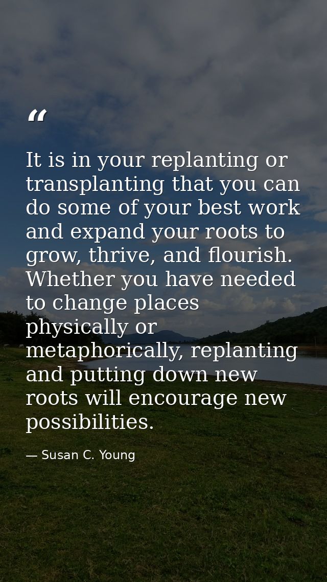 It is in your replanting or transplanting that you can do some of your best work and expand your roots to grow, thrive,  — Susan C. Young