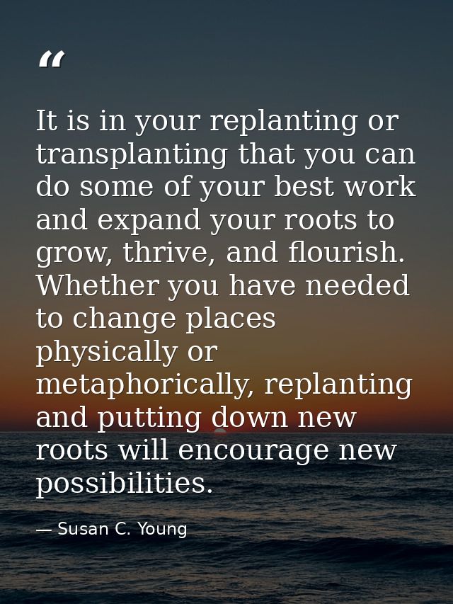 It is in your replanting or transplanting that you can do some of your best work and expand your roots to grow, thrive,  — Susan C. Young