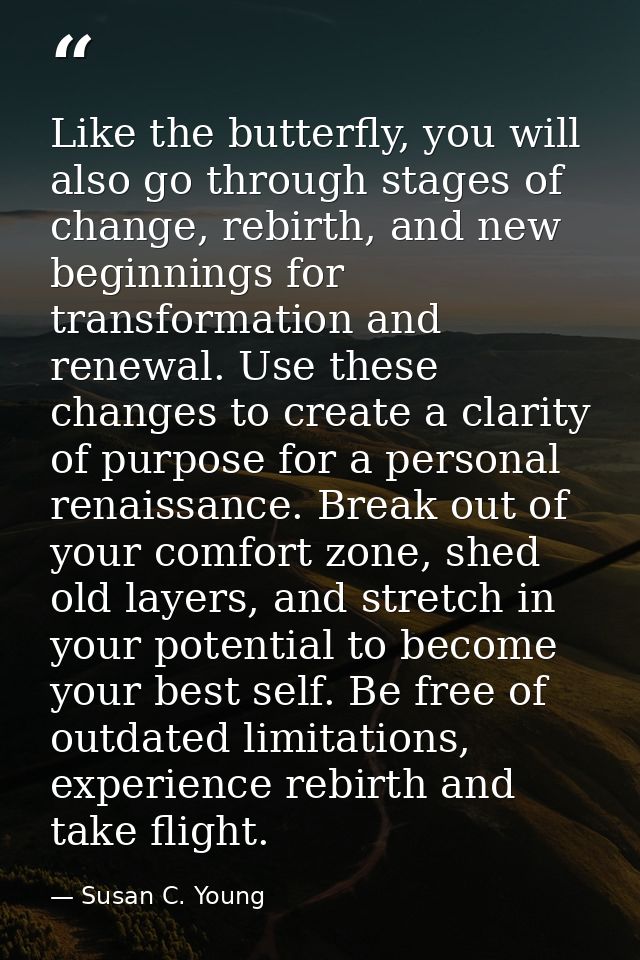Like the butterfly, you will also go through stages of change, rebirth, and new beginnings for transformation and renewa — Susan C. Young