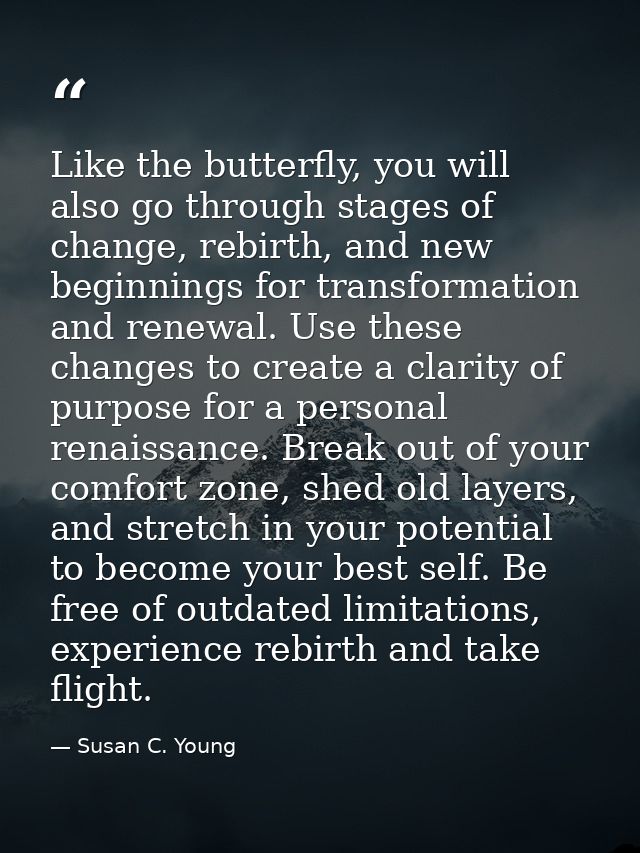 Like the butterfly, you will also go through stages of change, rebirth, and new beginnings for transformation and renewa — Susan C. Young
