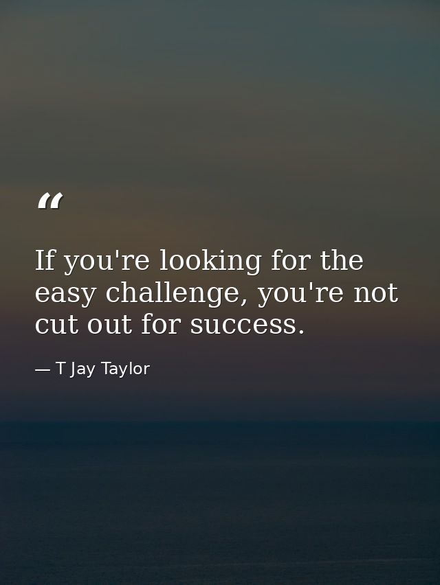 If you're looking for the easy challenge, you're not cut out for success. — T Jay Taylor
