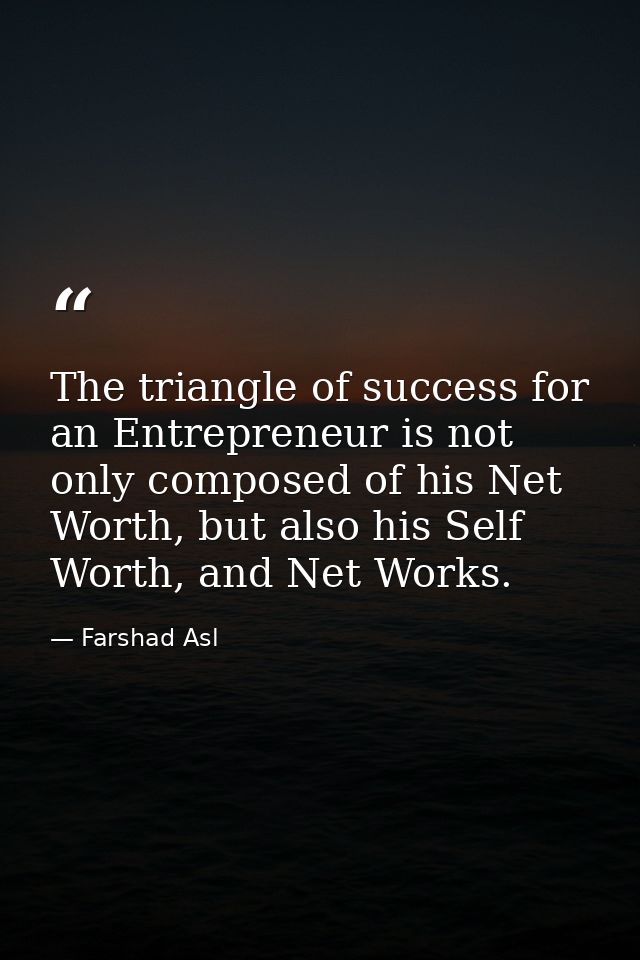 The triangle of success for an Entrepreneur is not only composed of his Net Worth, but also his Self Worth, and Net Work — Farshad Asl