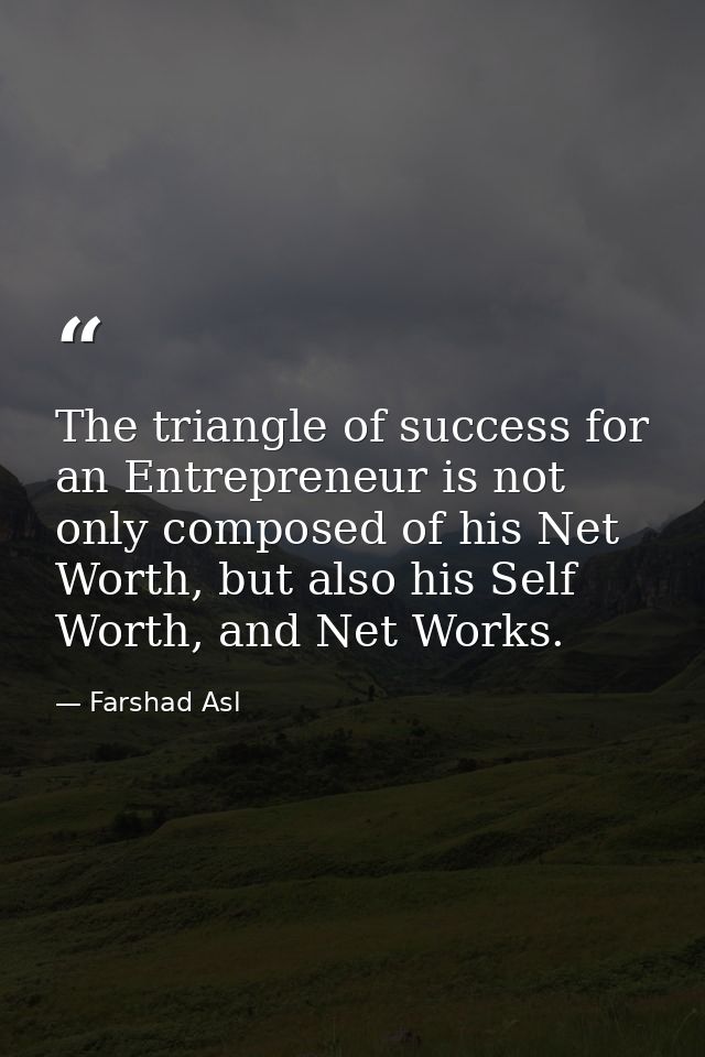 The triangle of success for an Entrepreneur is not only composed of his Net Worth, but also his Self Worth, and Net Work — Farshad Asl