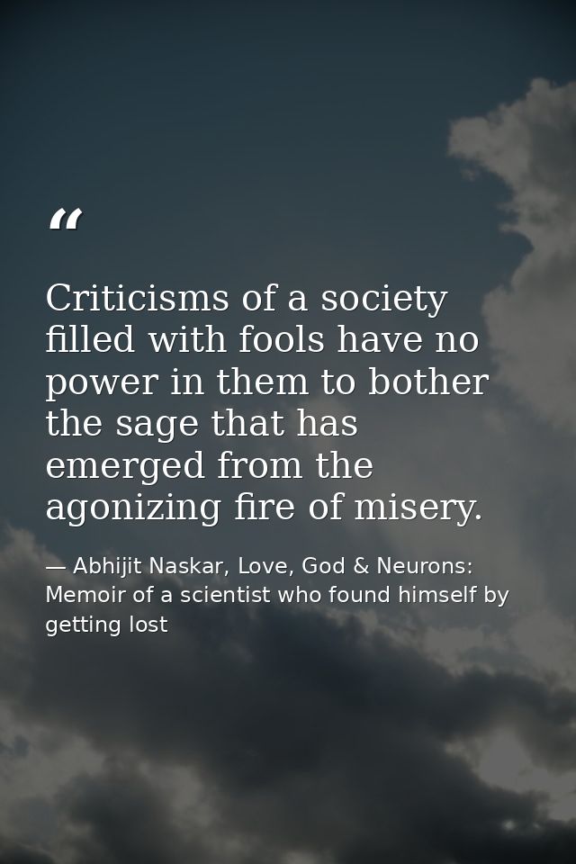 Criticisms of a society filled with fools have no power in them to bother the sage that has emerged from the agonizing f — Abhijit Naskar, Love, God & Neurons: Memoir of a scientist who found himself by getting lost