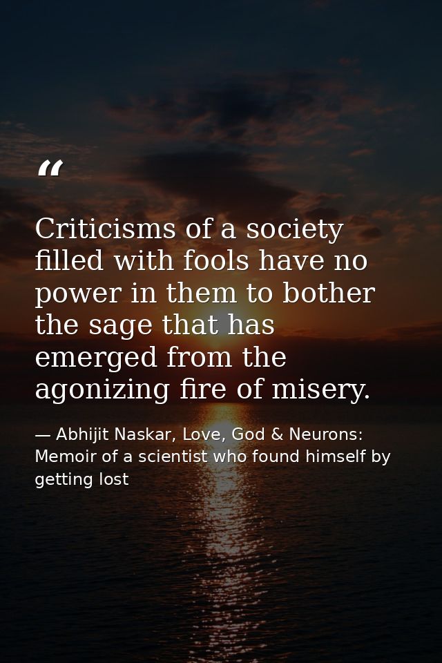 Criticisms of a society filled with fools have no power in them to bother the sage that has emerged from the agonizing f — Abhijit Naskar, Love, God & Neurons: Memoir of a scientist who found himself by getting lost