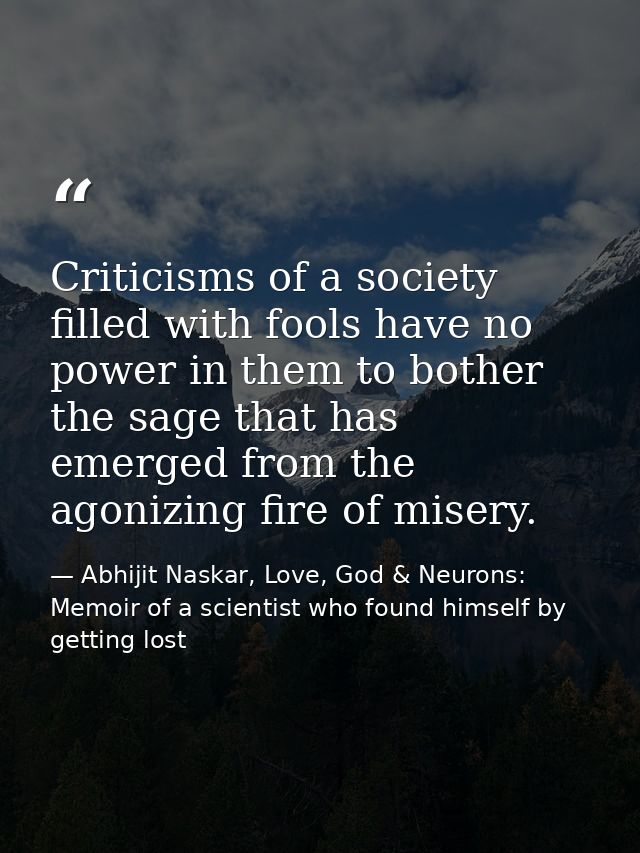 Criticisms of a society filled with fools have no power in them to bother the sage that has emerged from the agonizing f — Abhijit Naskar, Love, God & Neurons: Memoir of a scientist who found himself by getting lost
