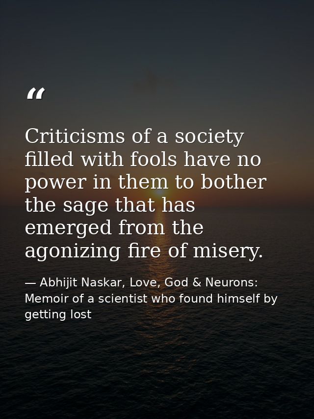 Criticisms of a society filled with fools have no power in them to bother the sage that has emerged from the agonizing f — Abhijit Naskar, Love, God & Neurons: Memoir of a scientist who found himself by getting lost