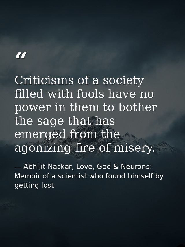 Criticisms of a society filled with fools have no power in them to bother the sage that has emerged from the agonizing f — Abhijit Naskar, Love, God & Neurons: Memoir of a scientist who found himself by getting lost