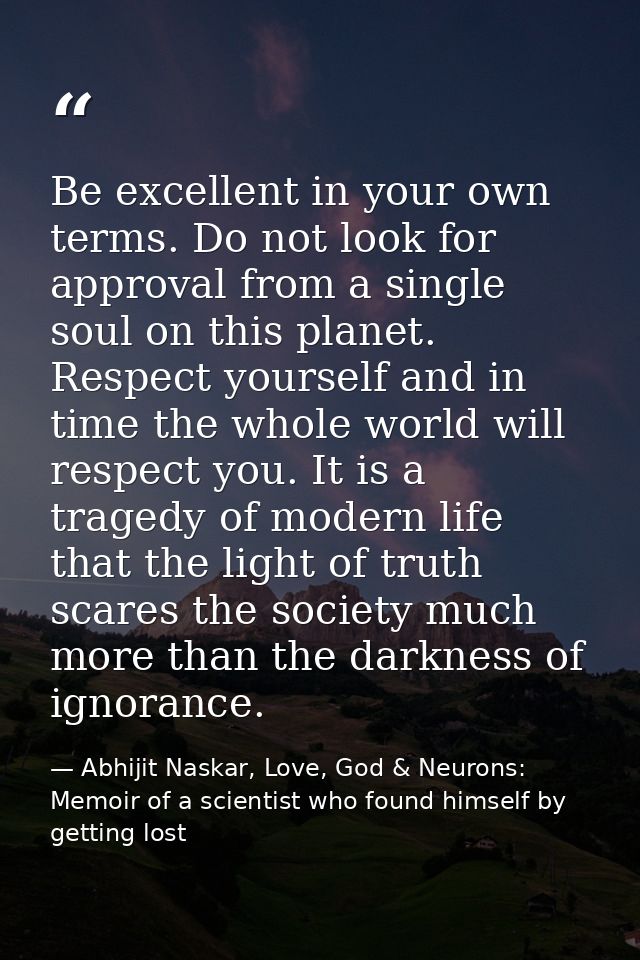Be excellent in your own terms. Do not look for approval from a single soul on this planet. Respect yourself and in time — Abhijit Naskar, Love, God & Neurons: Memoir of a scientist who found himself by getting lost