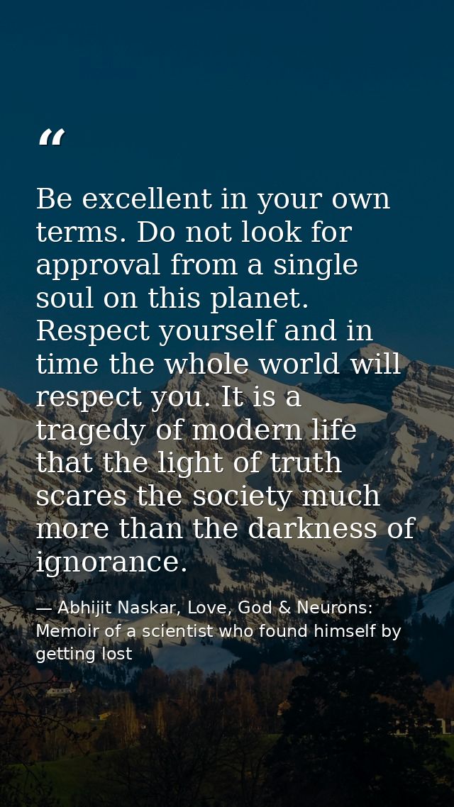 Be excellent in your own terms. Do not look for approval from a single soul on this planet. Respect yourself and in time — Abhijit Naskar, Love, God & Neurons: Memoir of a scientist who found himself by getting lost
