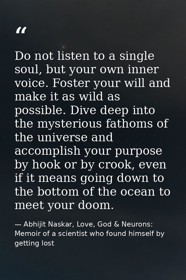 Do not listen to a single soul, but your own inner voice. Foster your will and make it as wild as possible. Dive deep in — Abhijit Naskar, Love, God & Neurons: Memoir of a scientist who found himself by getting lost
