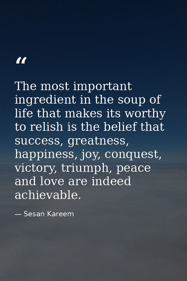 The most important ingredient in the soup of life that makes its worthy to relish is the belief that success, greatness, — Sesan Kareem