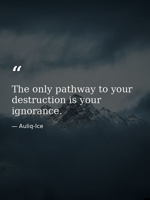 The only pathway to your destruction is your ignorance. — Auliq-Ice