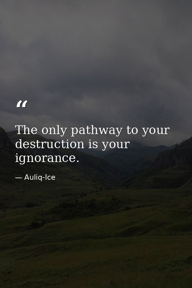 The only pathway to your destruction is your ignorance. — Auliq-Ice