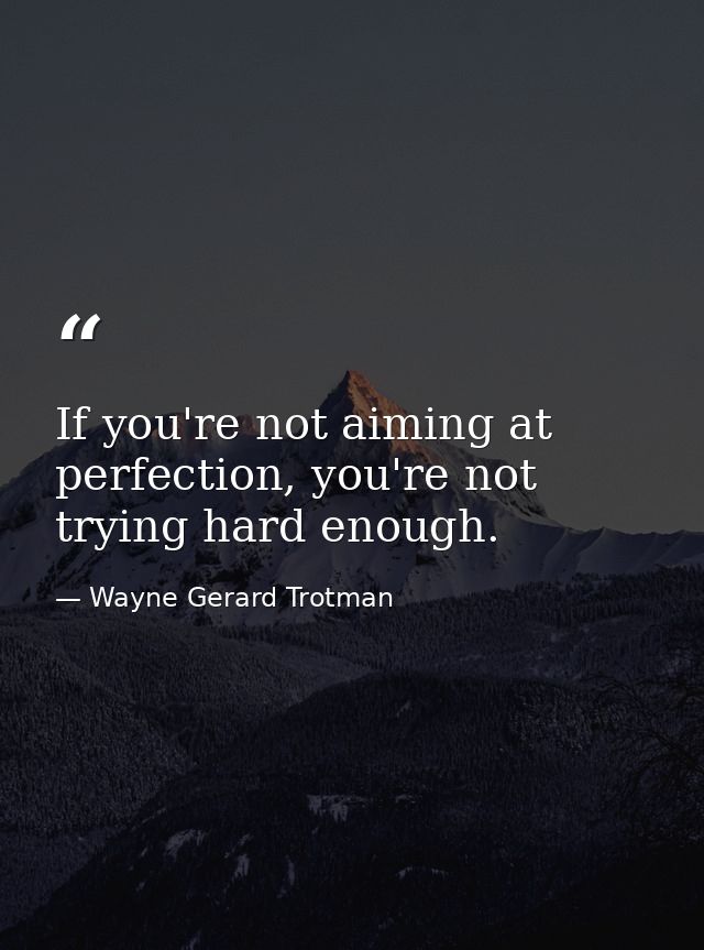If you're not aiming at perfection, you're not trying hard enough. — Wayne Gerard Trotman