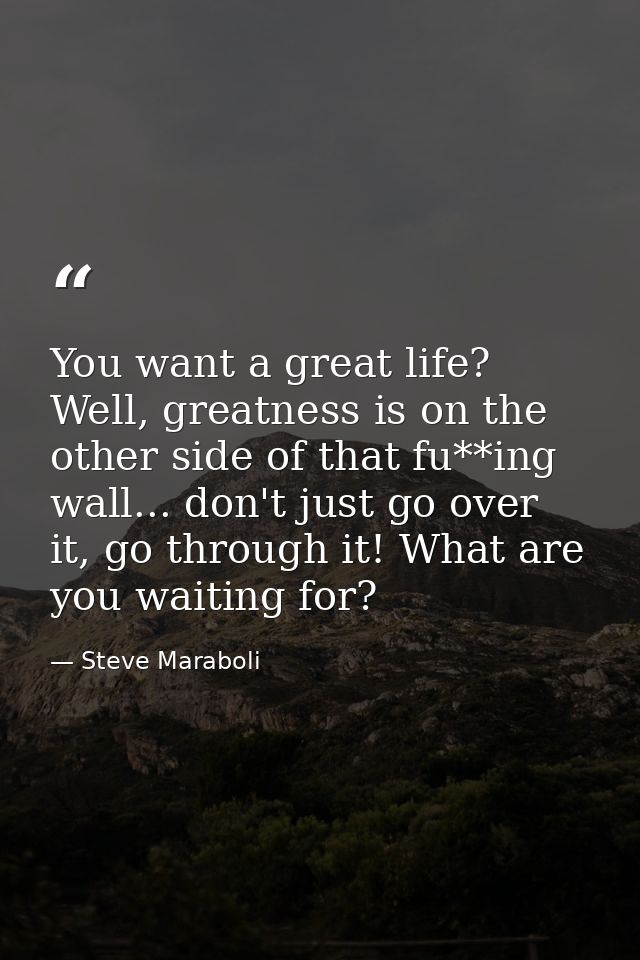 You want a great life? Well, greatness is on the other side of that fu**ing wall... don't just go over it, go through it — Steve Maraboli